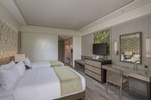 Deluxe Room 2